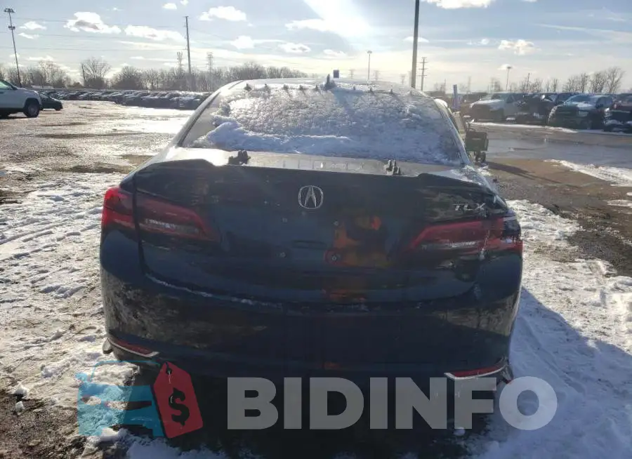 19UUB1F30FA002516 Photo# 6