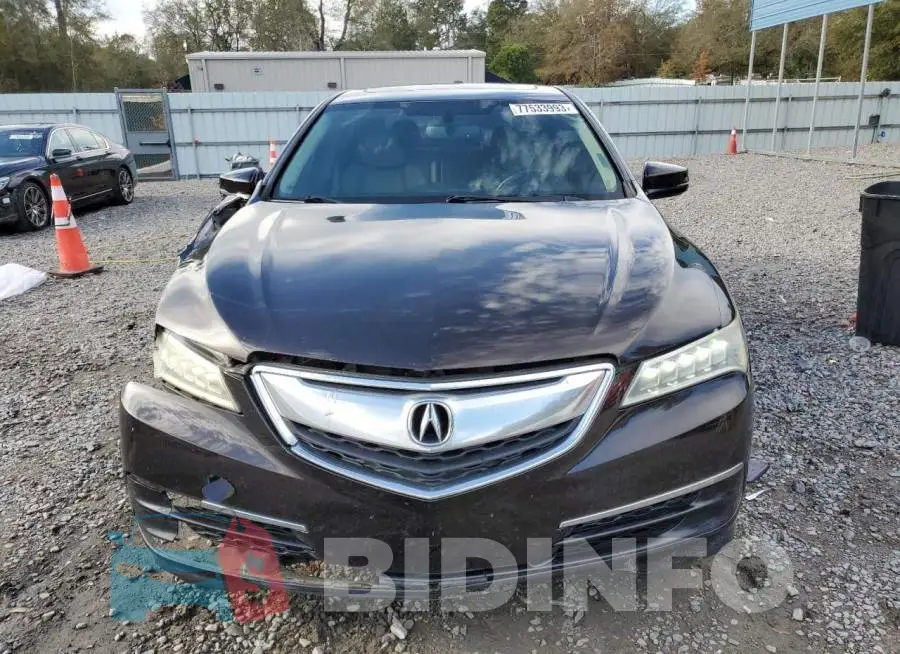 19UUB1F37FA005669 Photo# 5