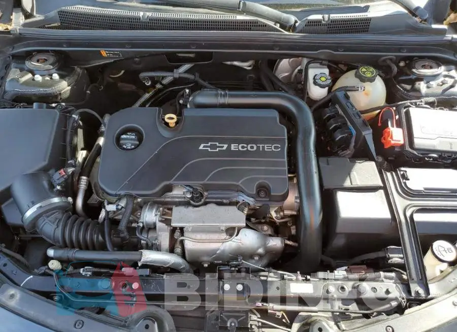 1G1ZE5ST5HF118883 Photo# 11