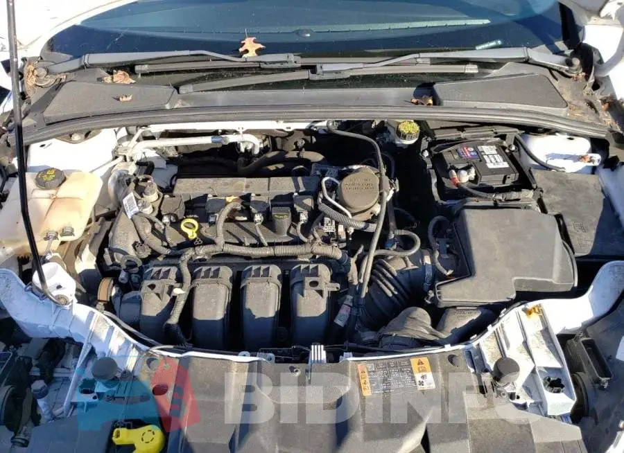 1FADP3F25FL258857 Photo# 11