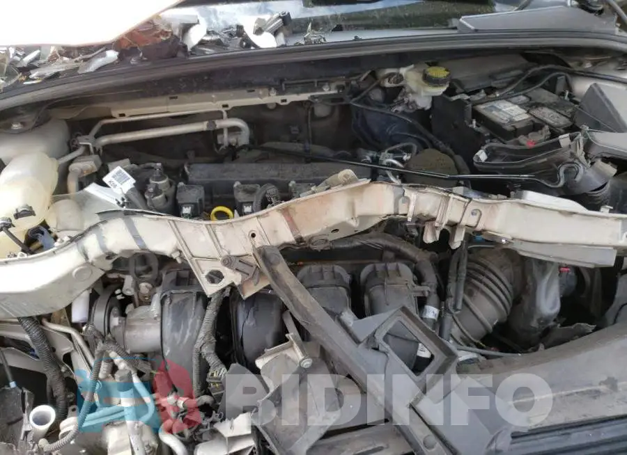 1FADP3F25GL296607 Photo# 11