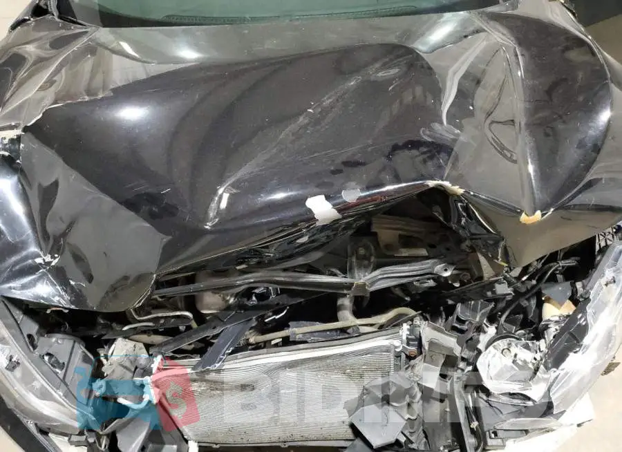 19XFC2F51HE221349 Photo# 11