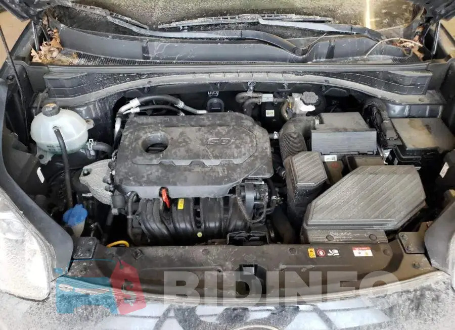 KNDPM3AC8L7761982 Photo# 12