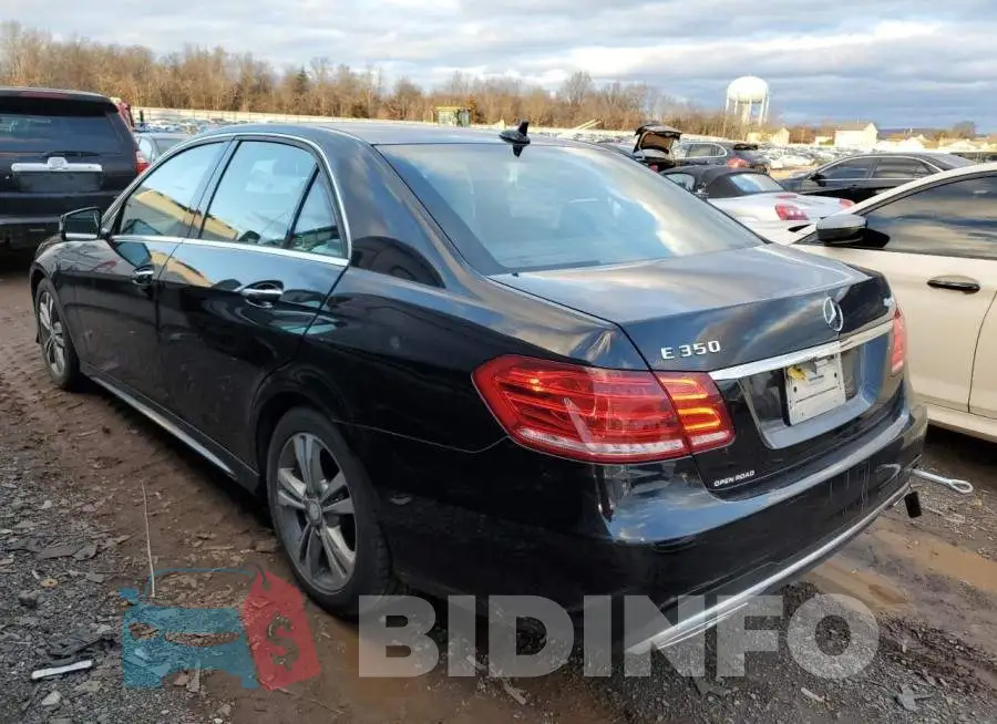 WDDHF8JBXEA900251 Photo# 2