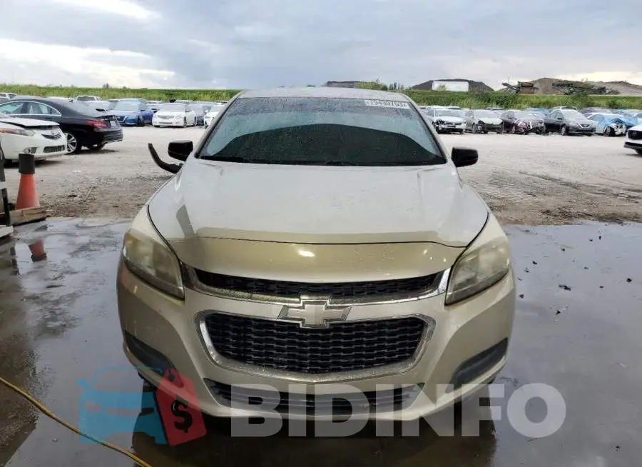 1G11B5SL6FF346443 Photo# 5