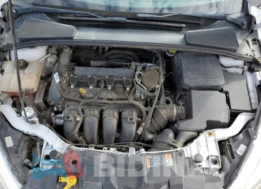 1FADP3F21FL244177 Photo# 11