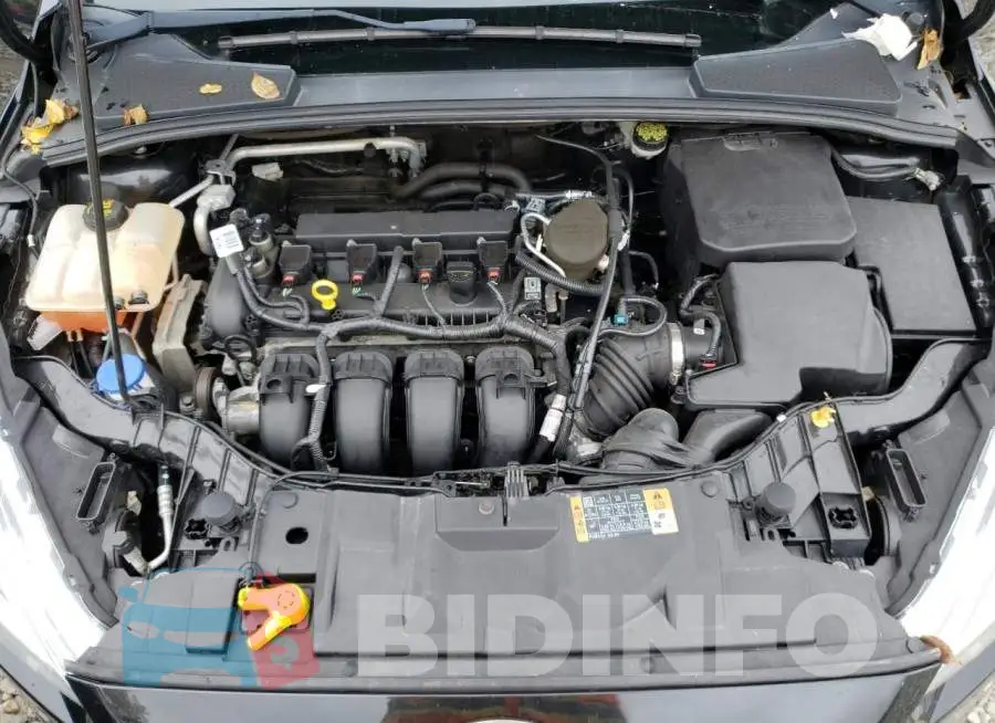 1FADP3N25FL209403 Photo# 11