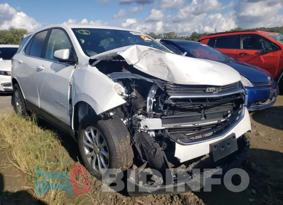 2GNAXTEV8M6101524 Photo# 4