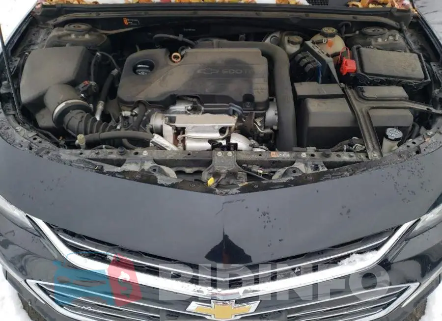 1G1ZB5ST6HF159189 Photo# 11