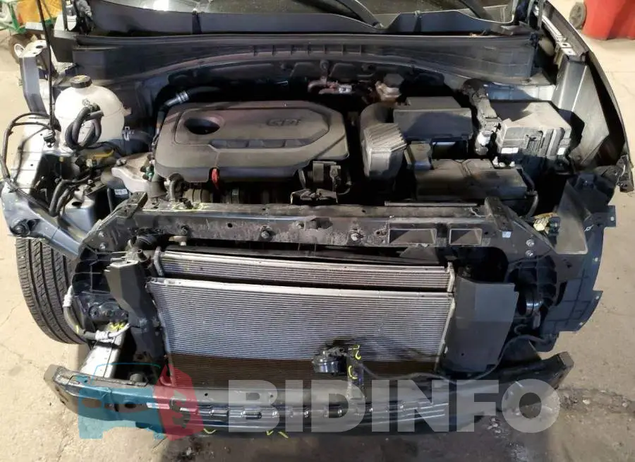 KNDPM3AC6L7727264 Photo# 12
