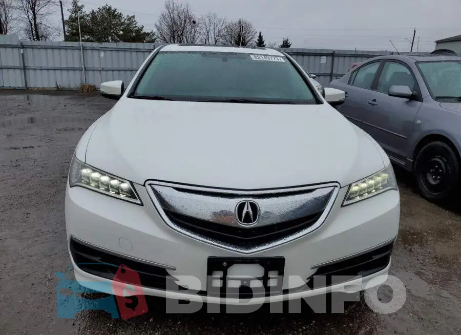 19UUB1F32FA800970 Photo# 5