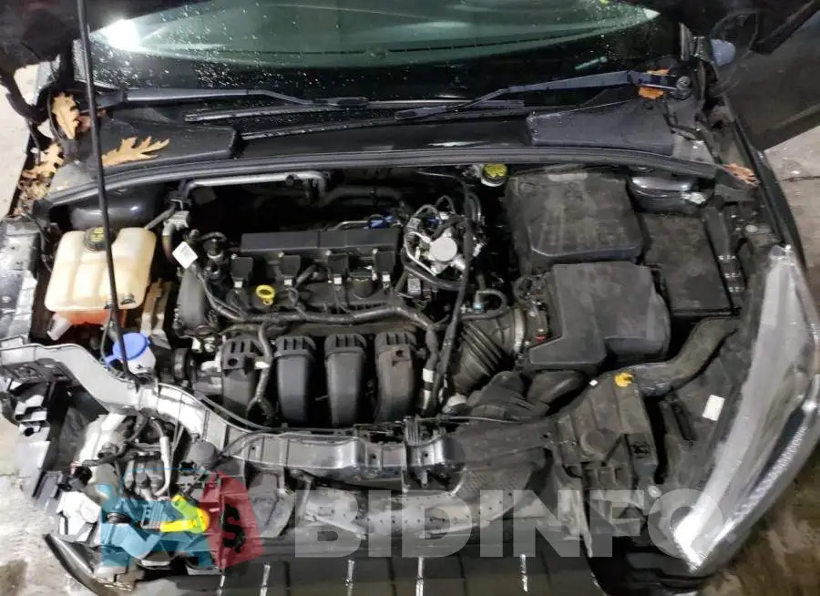 1FADP3F20GL325074 Photo# 11