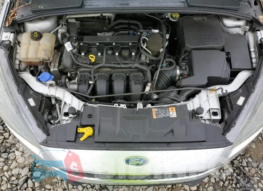 1FADP3F23GL290756 Photo# 11