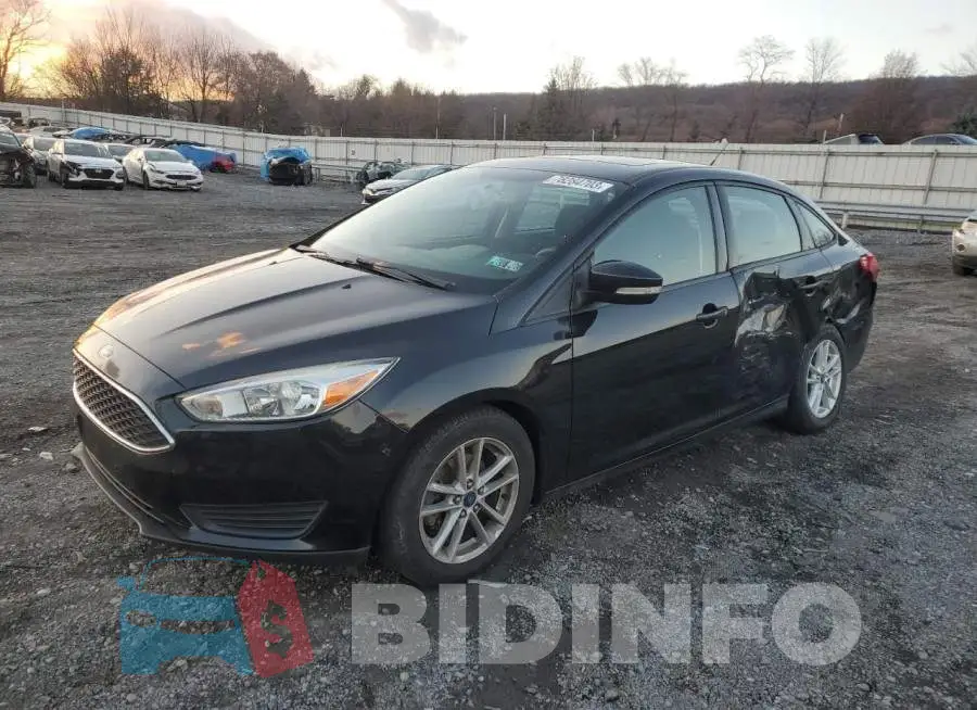 1FADP3F25FL303991 Photo# 1