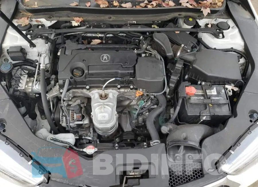 19UUB1F52KA003789 Photo# 11