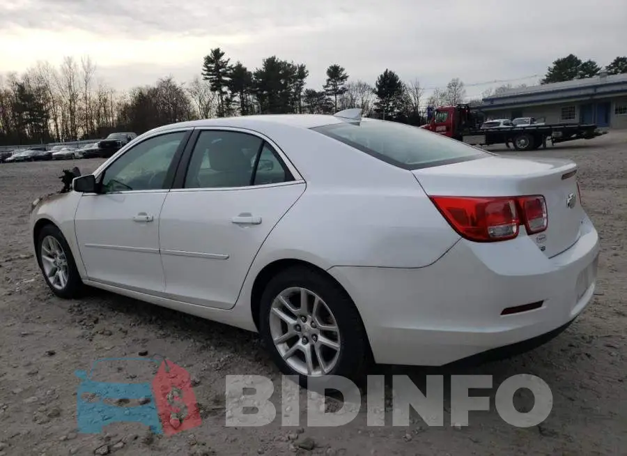 1G11C5SL4FF156136 Photo# 2
