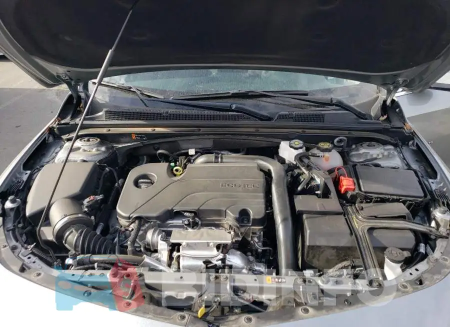 1G1ZD5ST5PF182486 Photo# 11