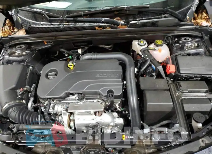 1G1ZD5ST8PF231244 Photo# 11