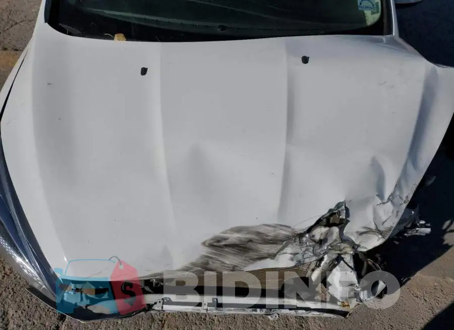 1FADP3FEXJL210869 Photo# 11