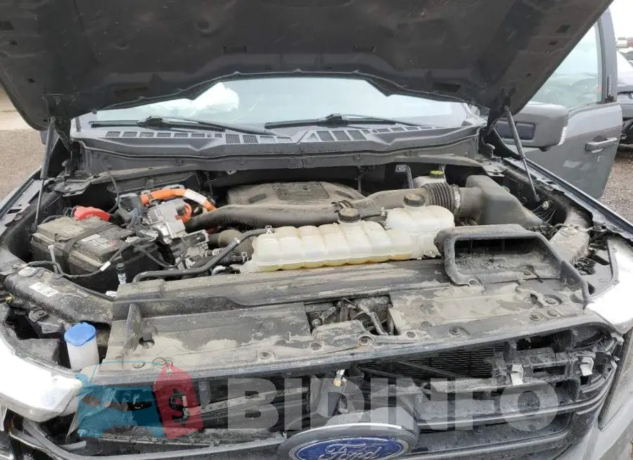 1FTFW1ED4MFB73503 Photo# 11