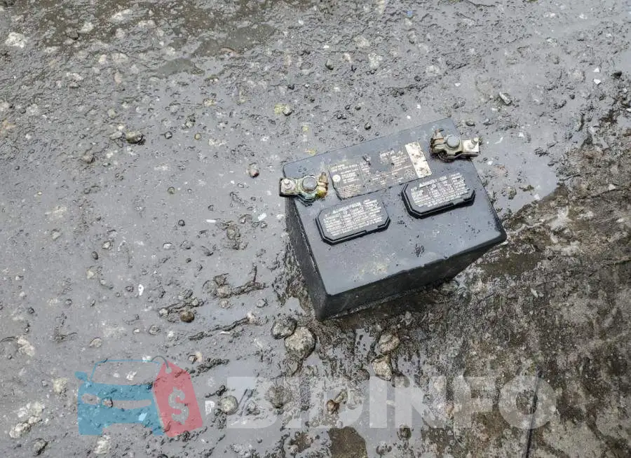 19XFC1F33KE210742 Photo# 12
