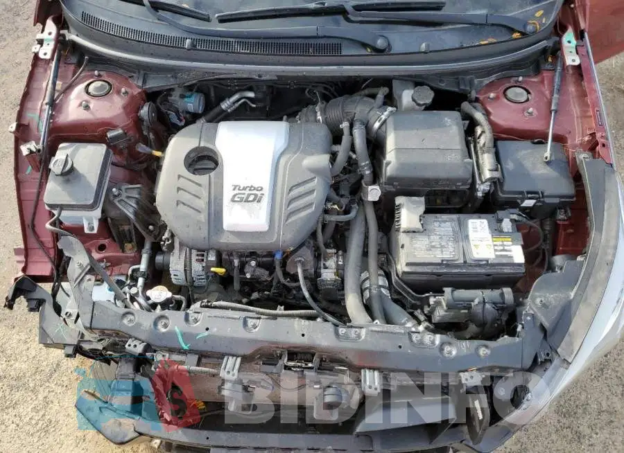 5NPE24AA6GH435486 Photo# 11