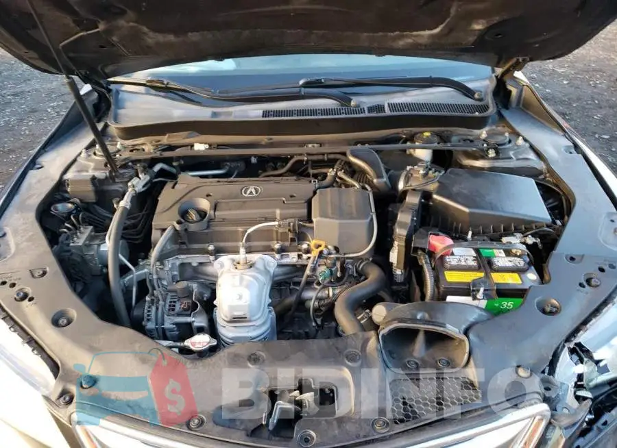 19UUB1F56GA012437 Photo# 11