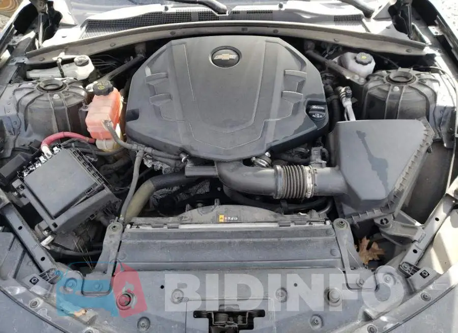 1G1FB1RS8M0126913 Photo# 11