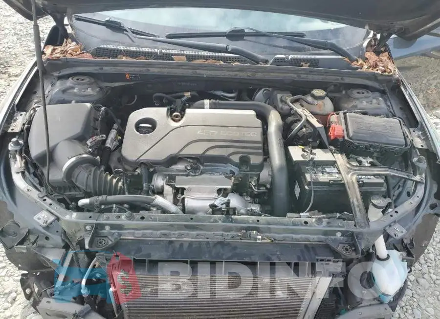 1G1ZD5ST6JF150167 Photo# 11