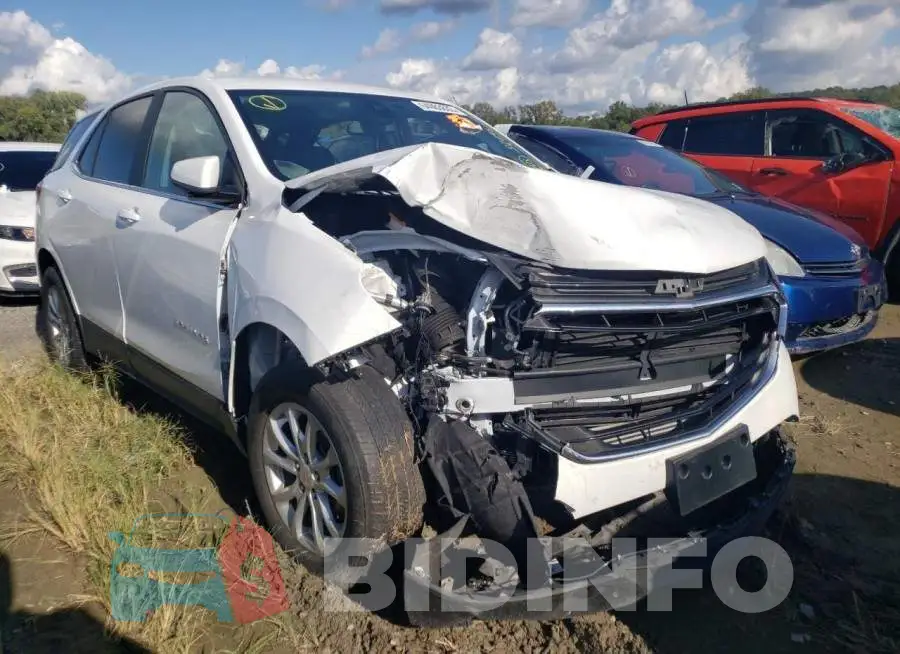 2GNAXTEV8M6101524 Photo# 4