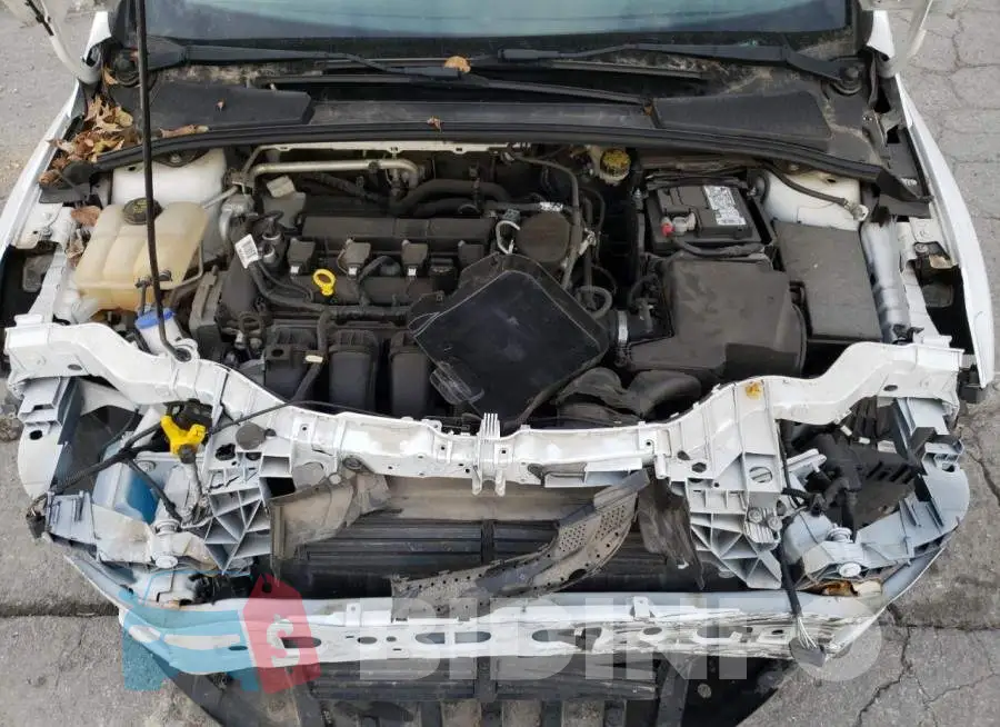 1FADP3F26GL322017 Photo# 11
