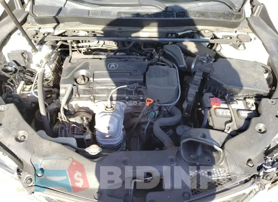 19UUB1F38FA012971 Photo# 11