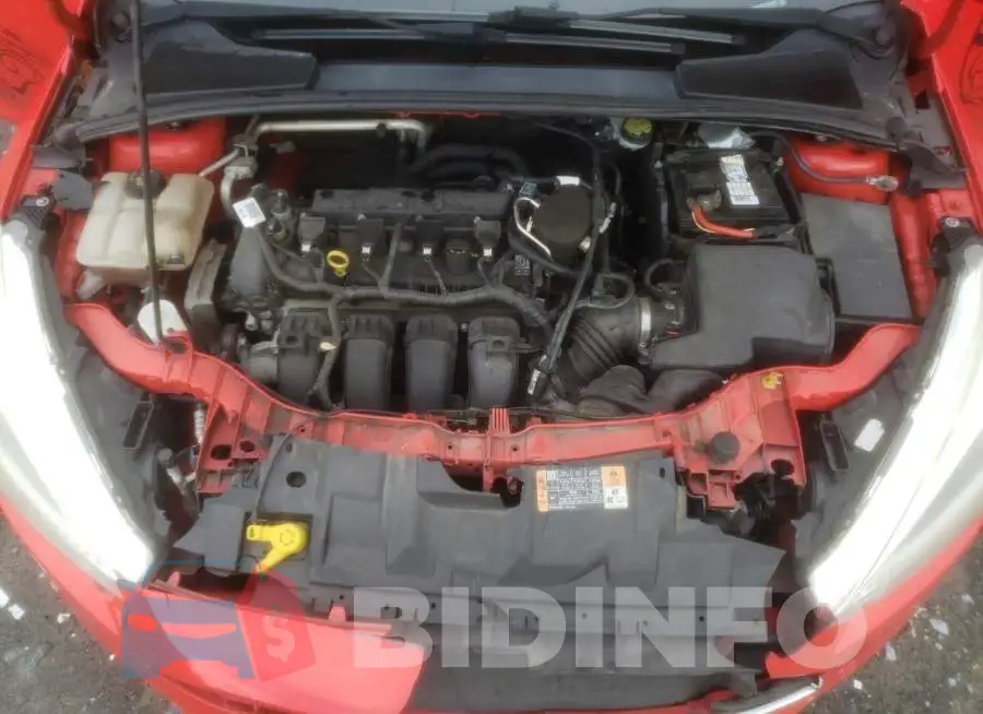 1FADP3F22FL263899 Photo# 11