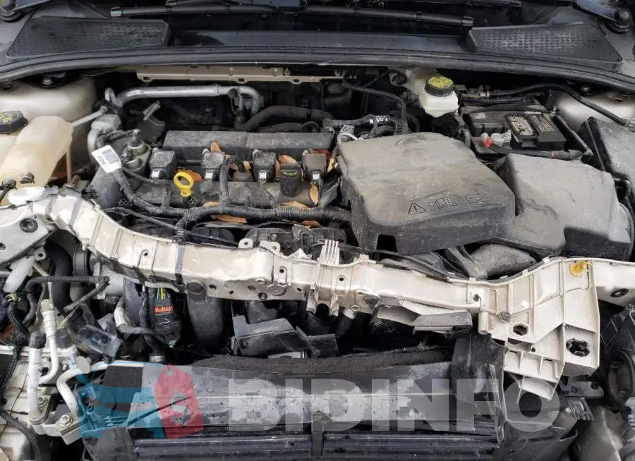 1FADP3F22HL228587 Photo# 11