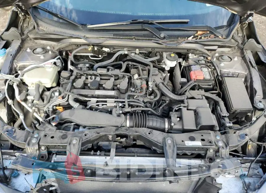 19XFC1F31LE206531 Photo# 11