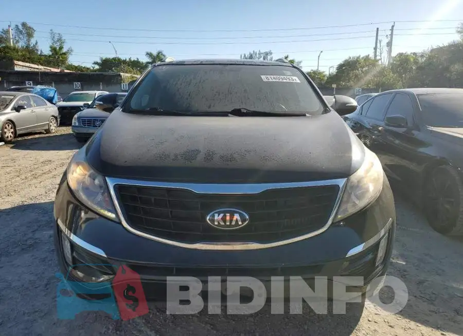 KNDPCCA66G7813144 Photo# 5