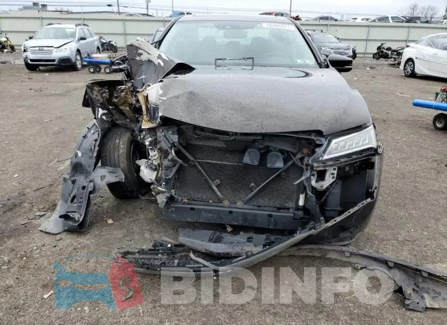 19UUB1F56FA027311 Photo# 5