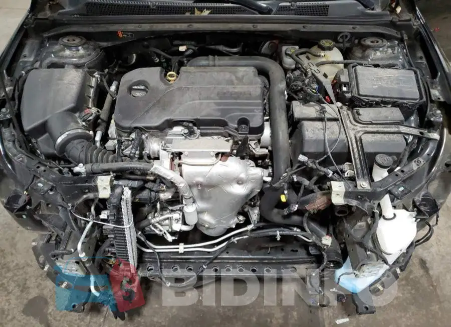 1G1ZD5ST0JF262155 Photo# 11