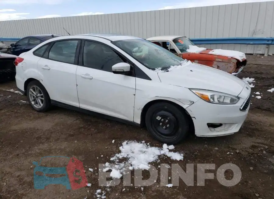 1FADP3F26GL259162 Photo# 4