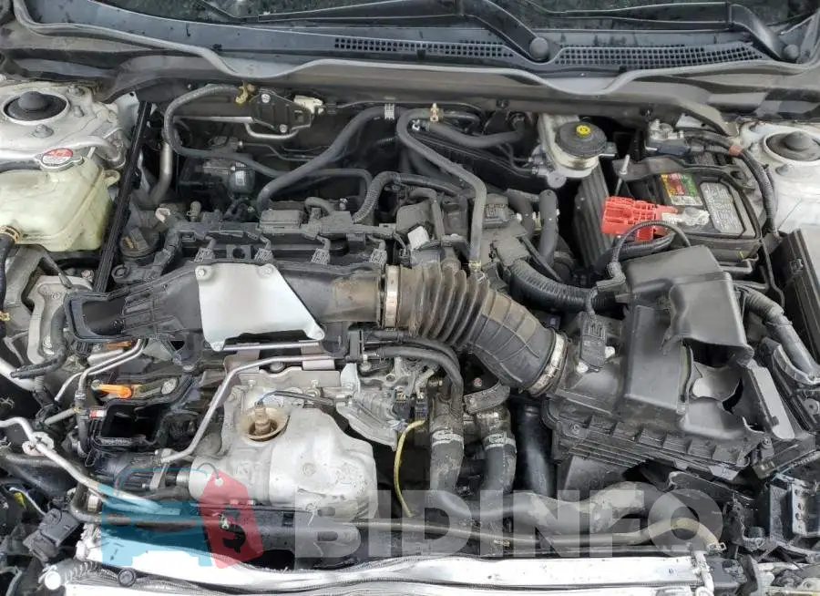 19XFC1F70GE207064 Photo# 11