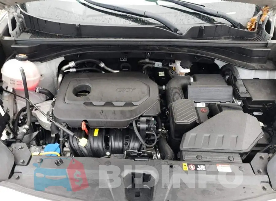 KNDPMCAC2M7904281 Photo# 11