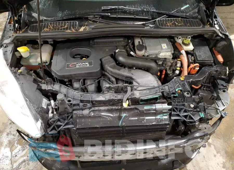 1FADP5CU3GL113478 Photo# 11