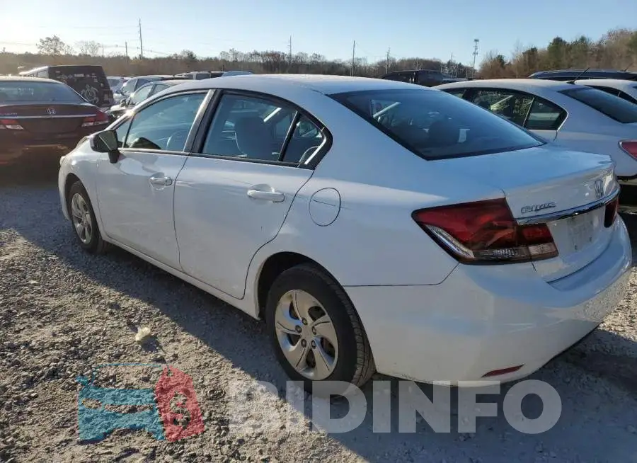 19XFB2F55FE092466 Photo# 2