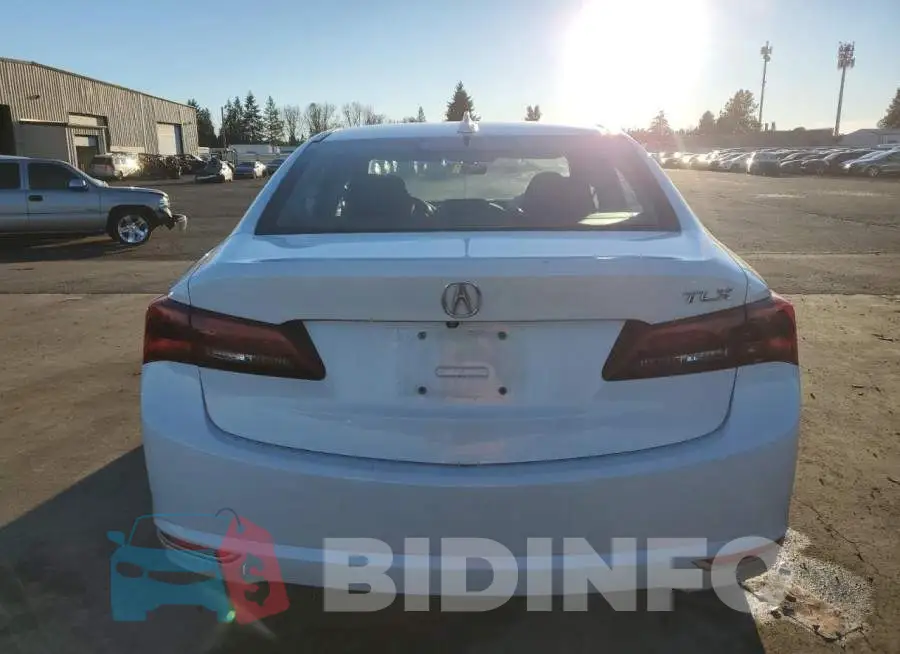 19UUB2F59GA005391 Photo# 6