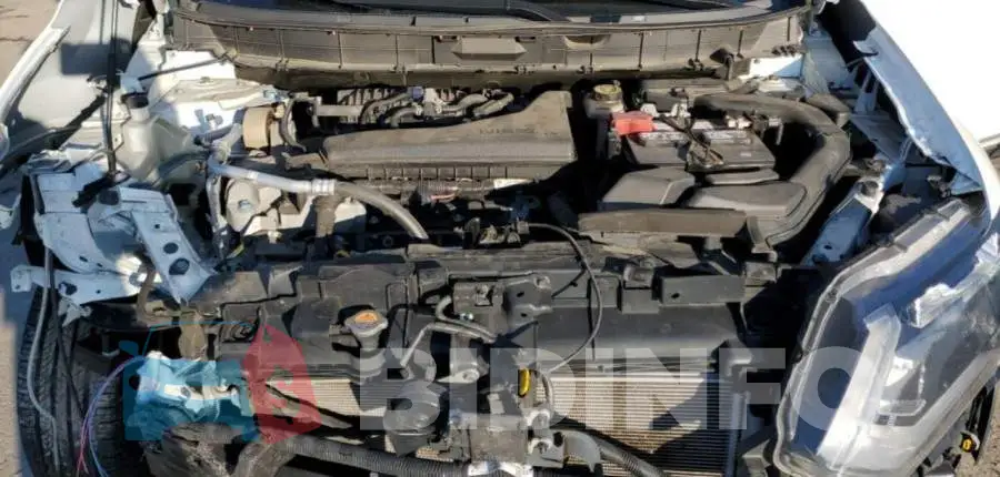 KNMAT2MV8KP517585 Photo# 11