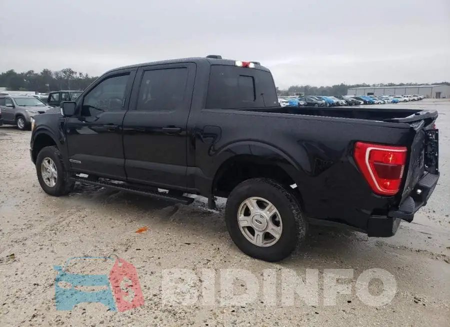 1FTFW1ED8MFB13434 Photo# 2