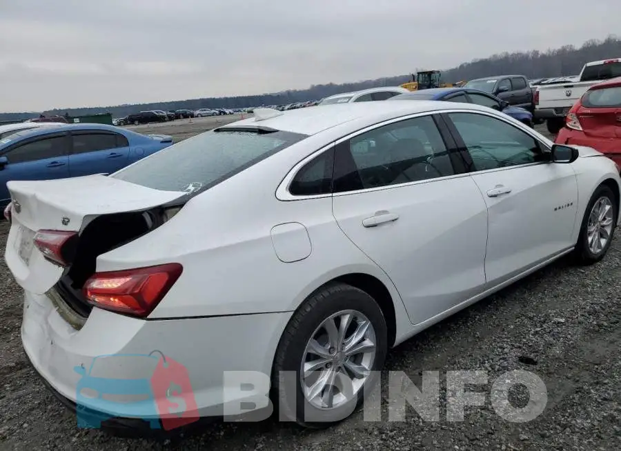 1G1ZD5ST5KF224695 Photo# 3