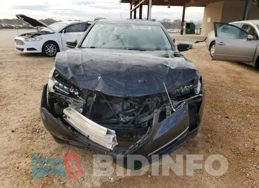 19UUB1F38FA014543 Photo# 5