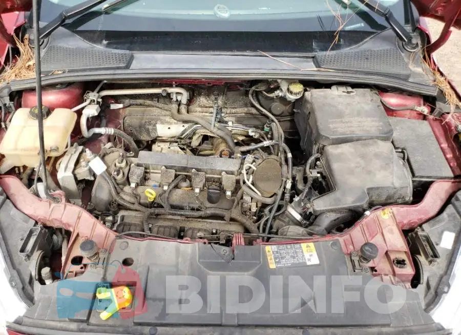 1FADP3N29GL219532 Photo# 11