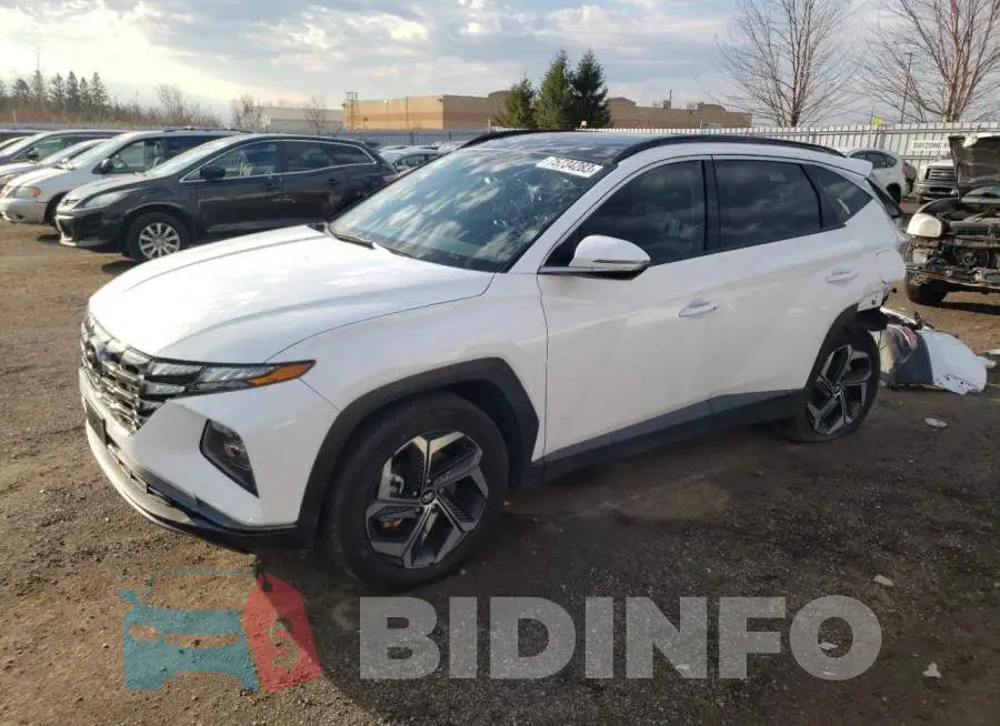 KM8JCCA12PU115850 Photo# 1